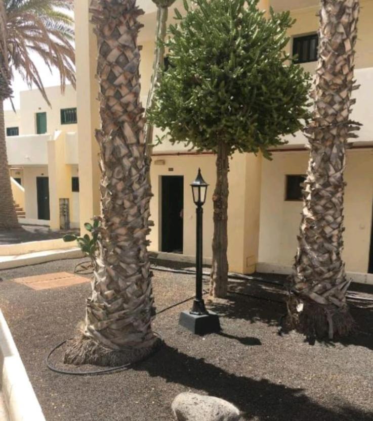 Suri Costa Teguise 아파트 외부 사진