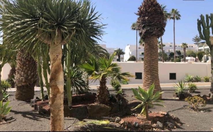 Suri Costa Teguise 아파트 외부 사진